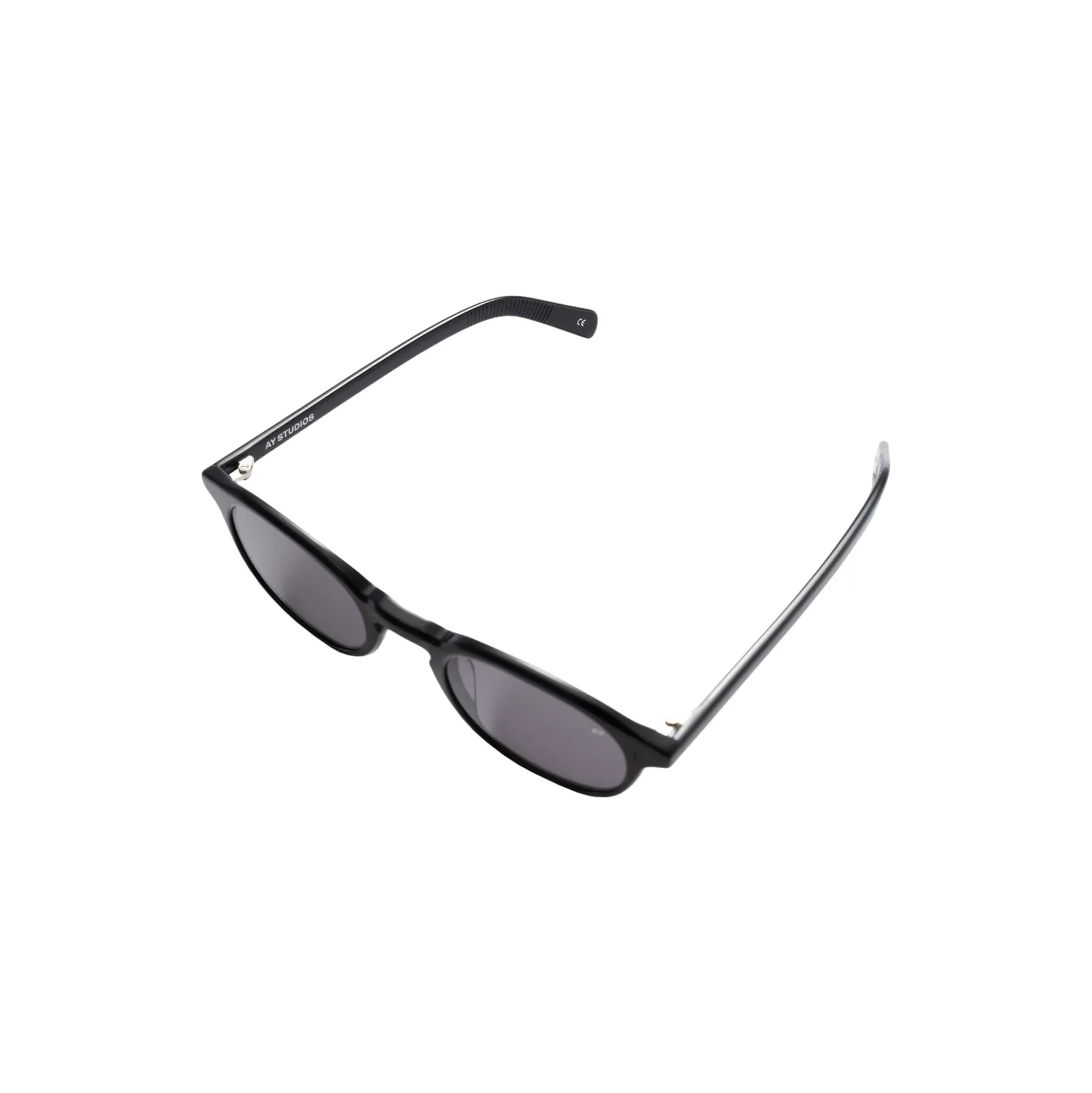 Alden Sunglasses, black