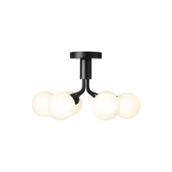 Apiales 6 Ceiling Lamp, satin black/opal