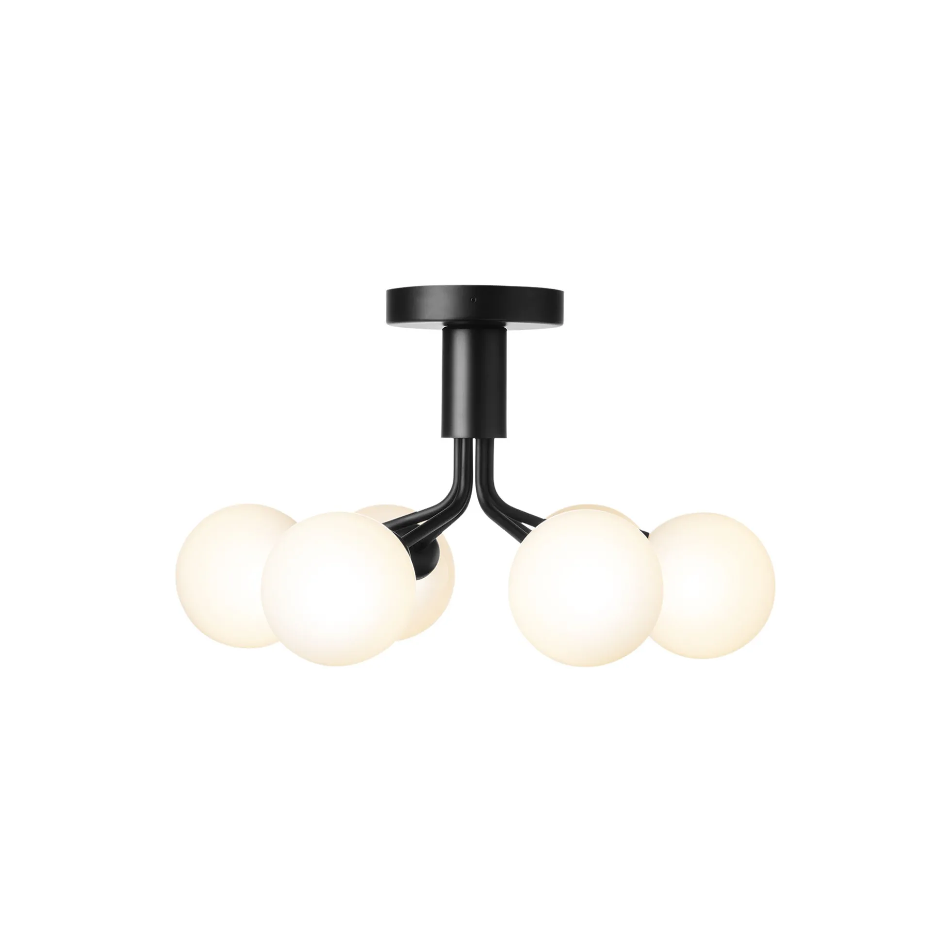 Apiales 6 Ceiling Lamp, satin black/opal
