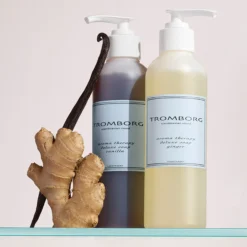 Aroma Therapy Deluxe Soap Ginger
