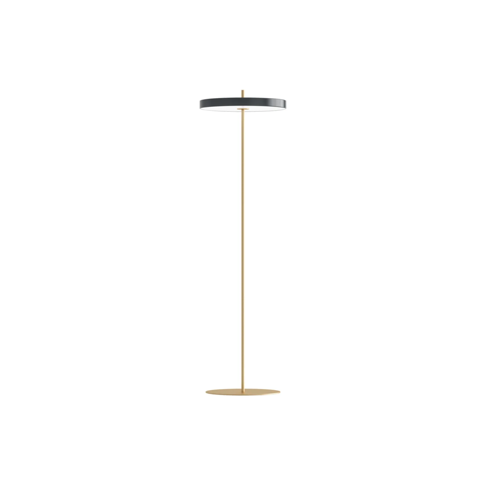 Asteria Floor Lamp, anthracite grey