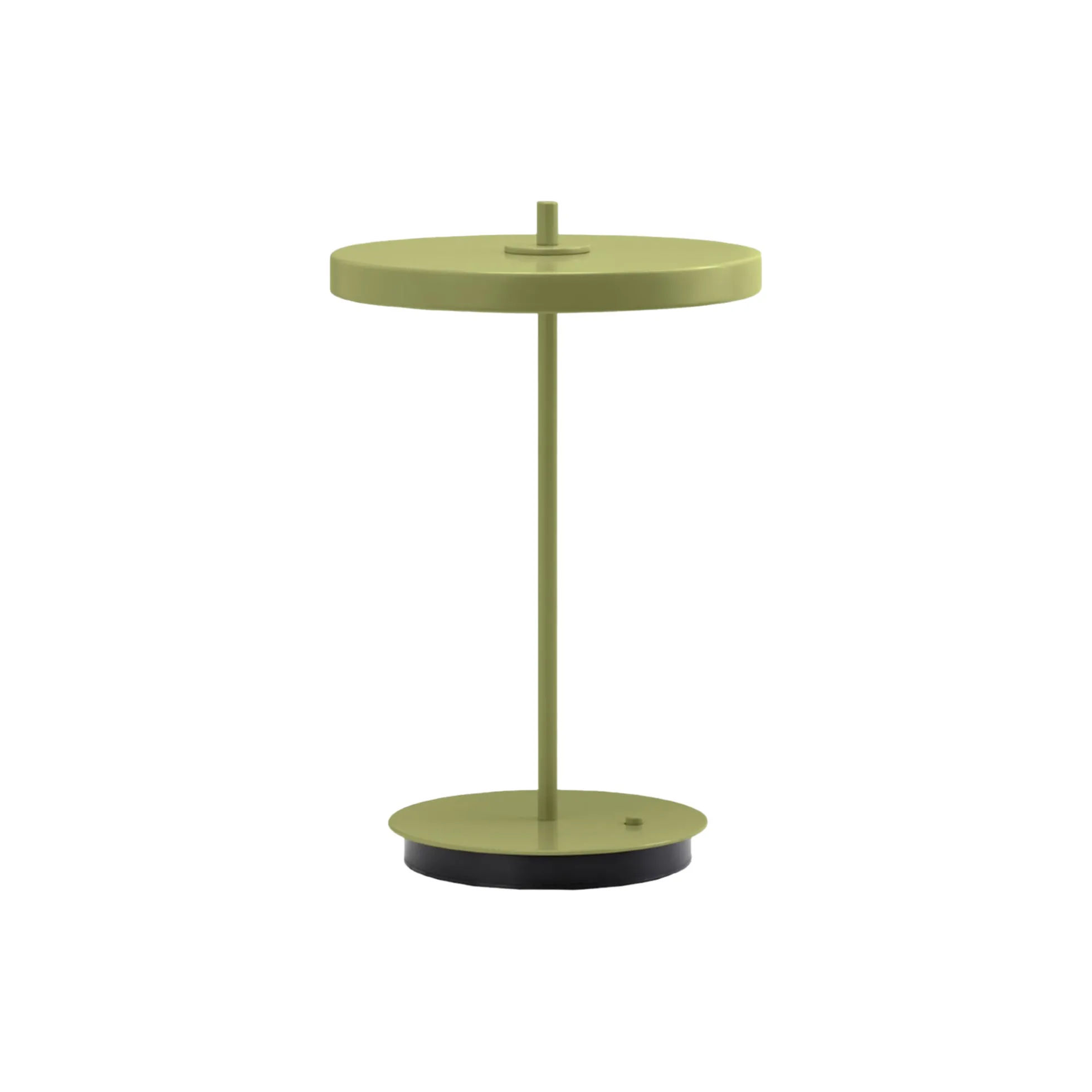 Asteria Move Monochrome Portable Lamp, leaf