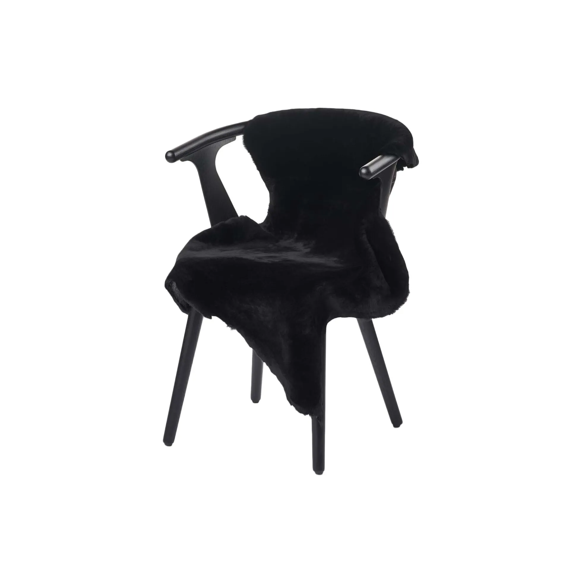 Australsk lammeskind, black