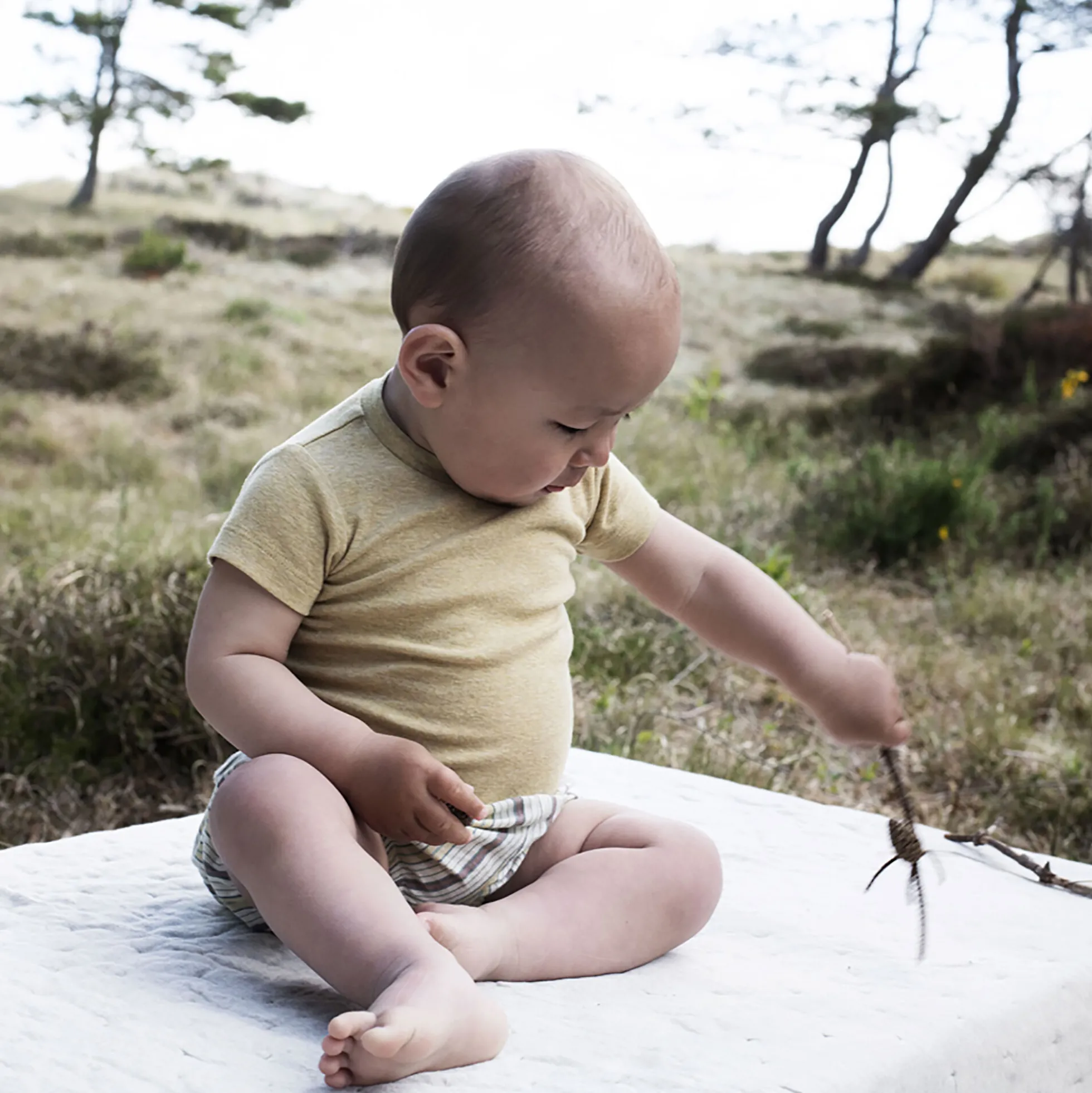 Baby Body Short Sleeve, chamomile