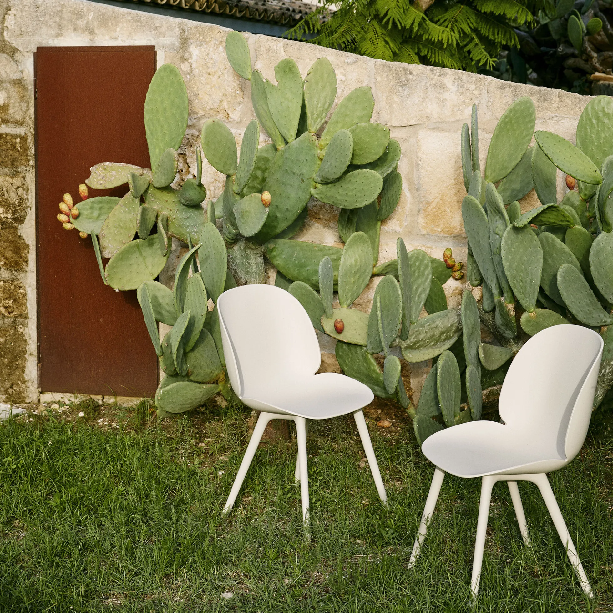 Beetle Dining Chair Outdoor, alabaster white