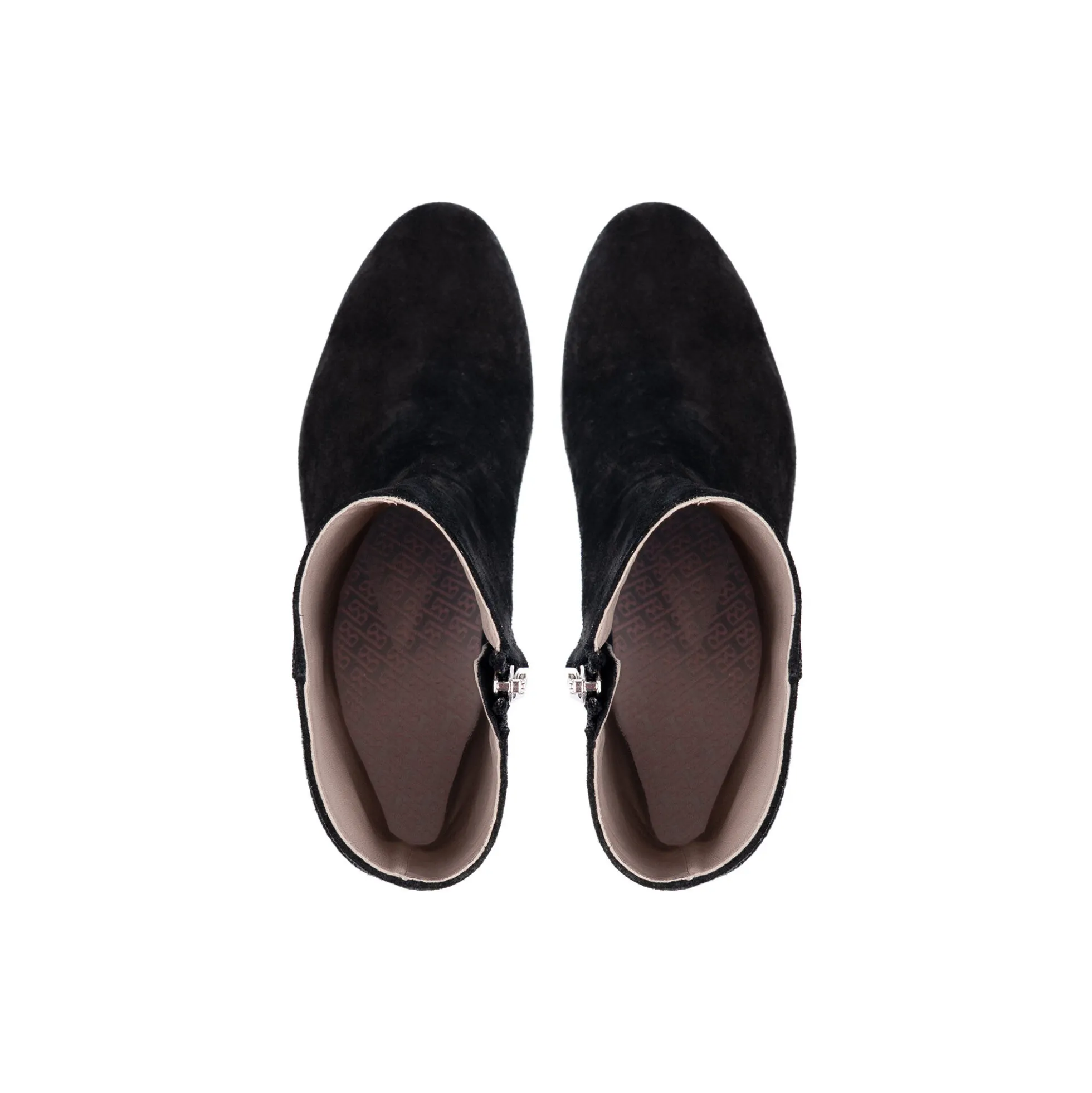 Bella, black