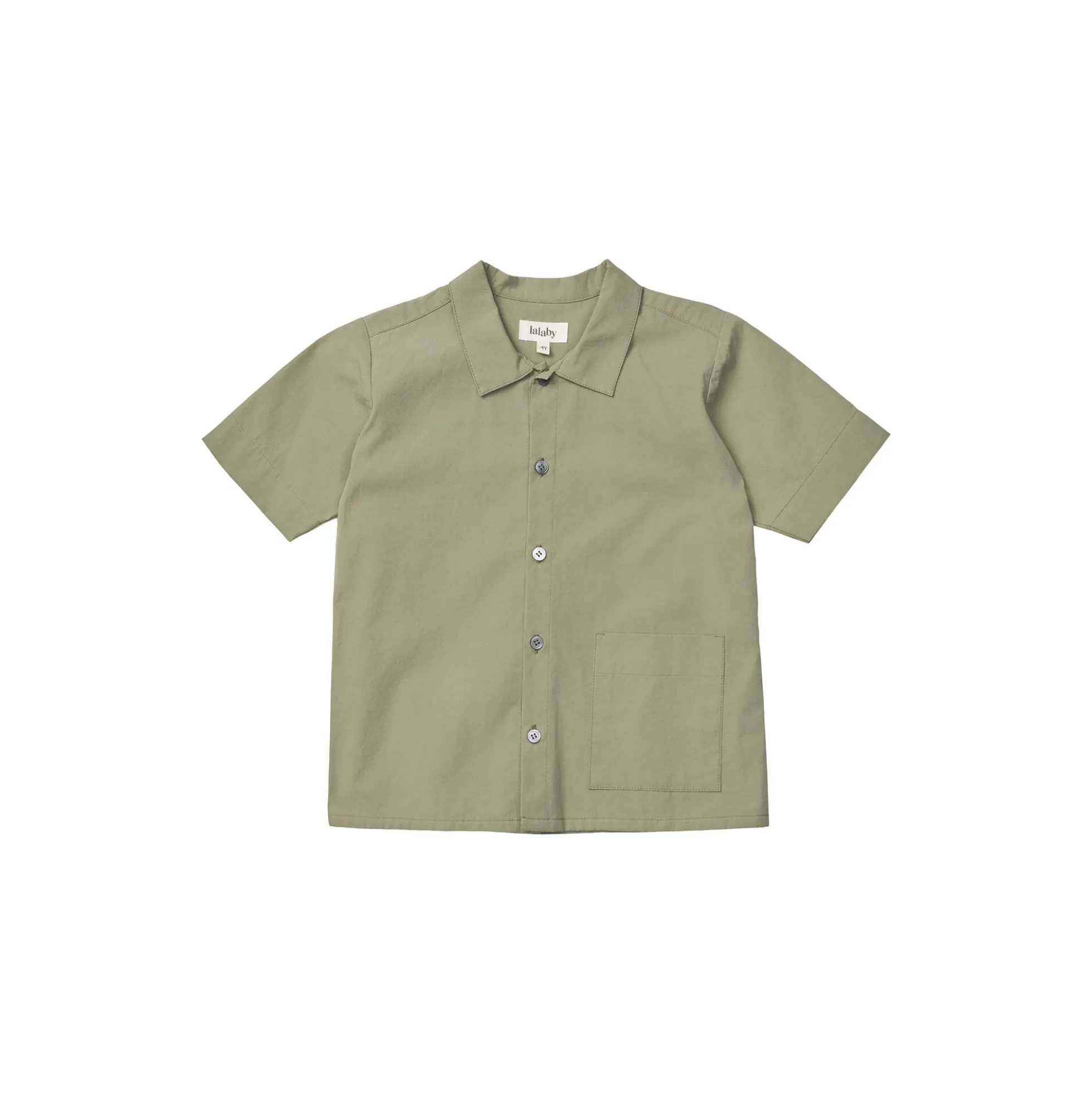 Billy Shirt, turtle