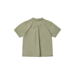 Billy Shirt, turtle