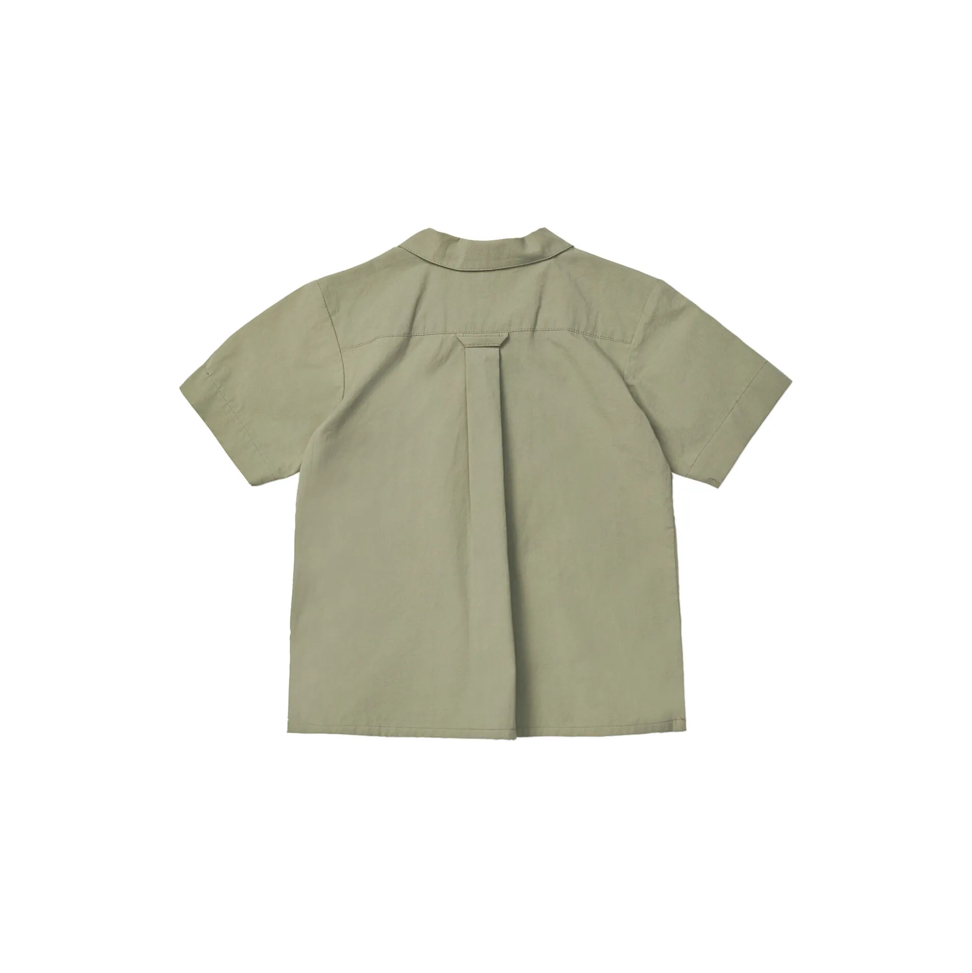 Billy Shirt, turtle