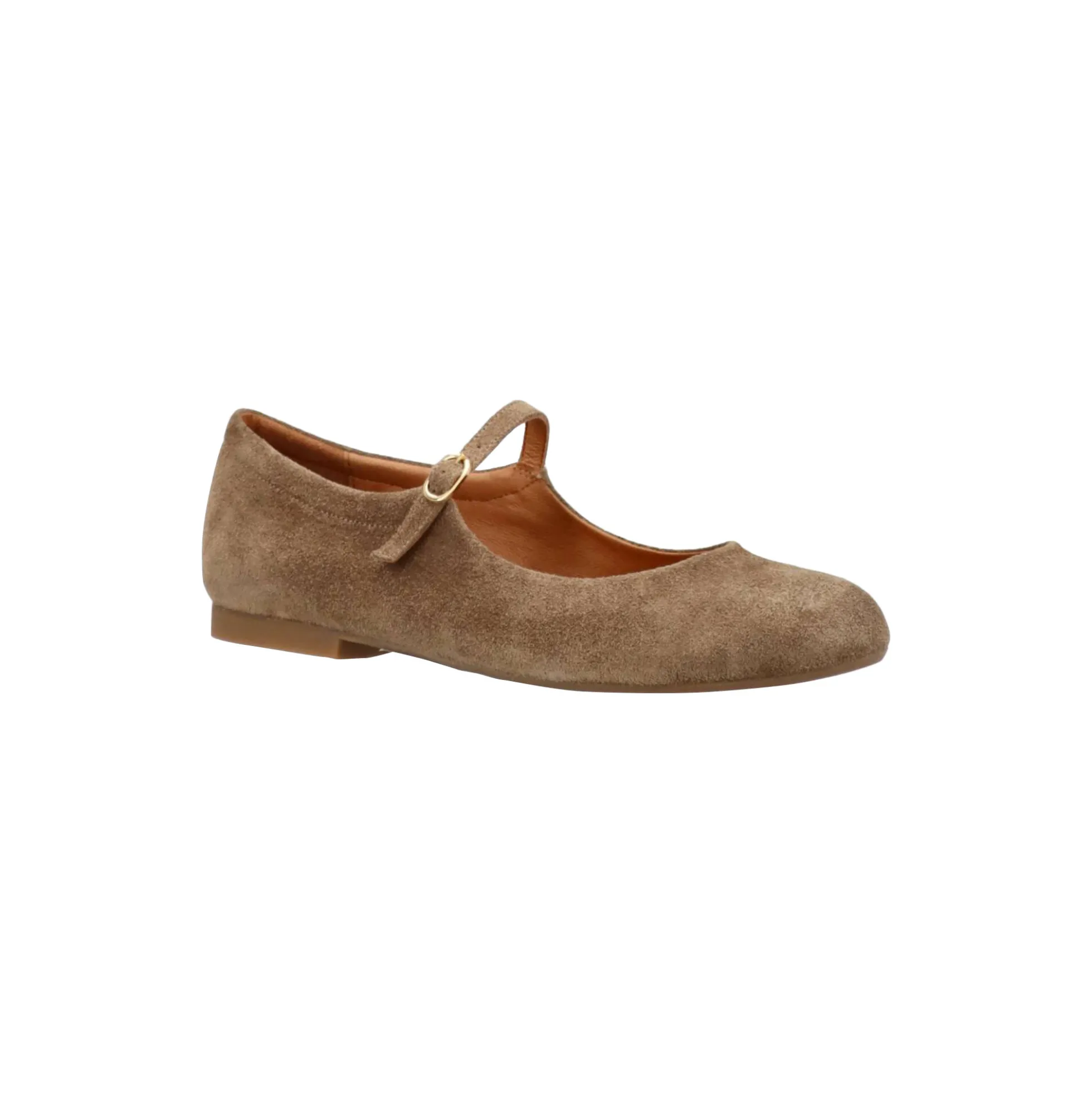 BLUSH S Ballerinas, taupe dark