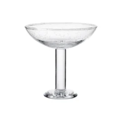 Bubble Glass Champagne Coupe