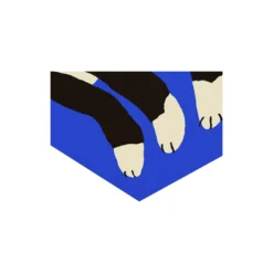 Cat in Blue