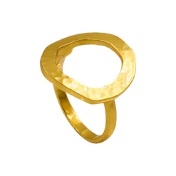 Circle of Life Ring