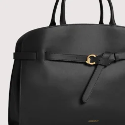 Coccinelle Sabine, noir