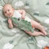 Croco nusseklud, green