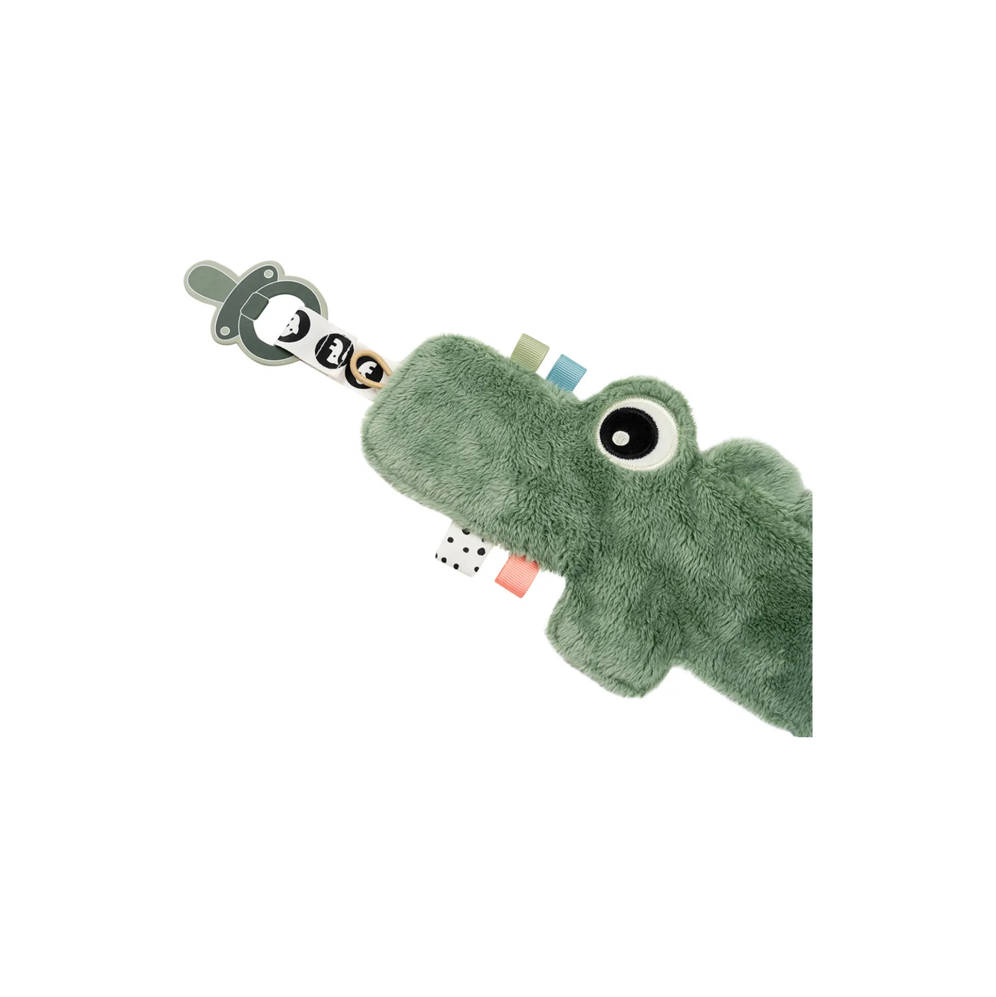 Croco nusseklud, green