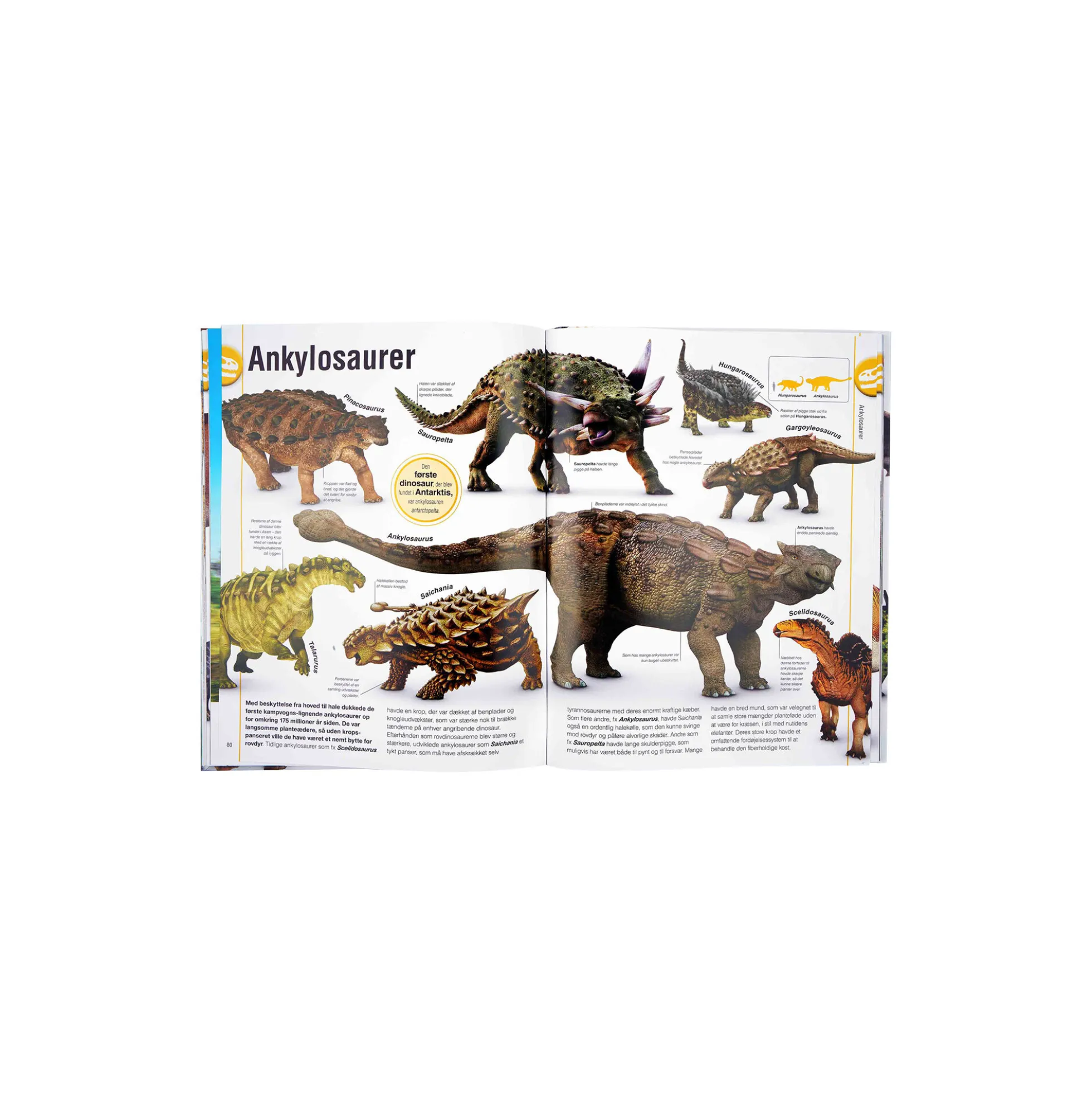 Dinosaurbogen