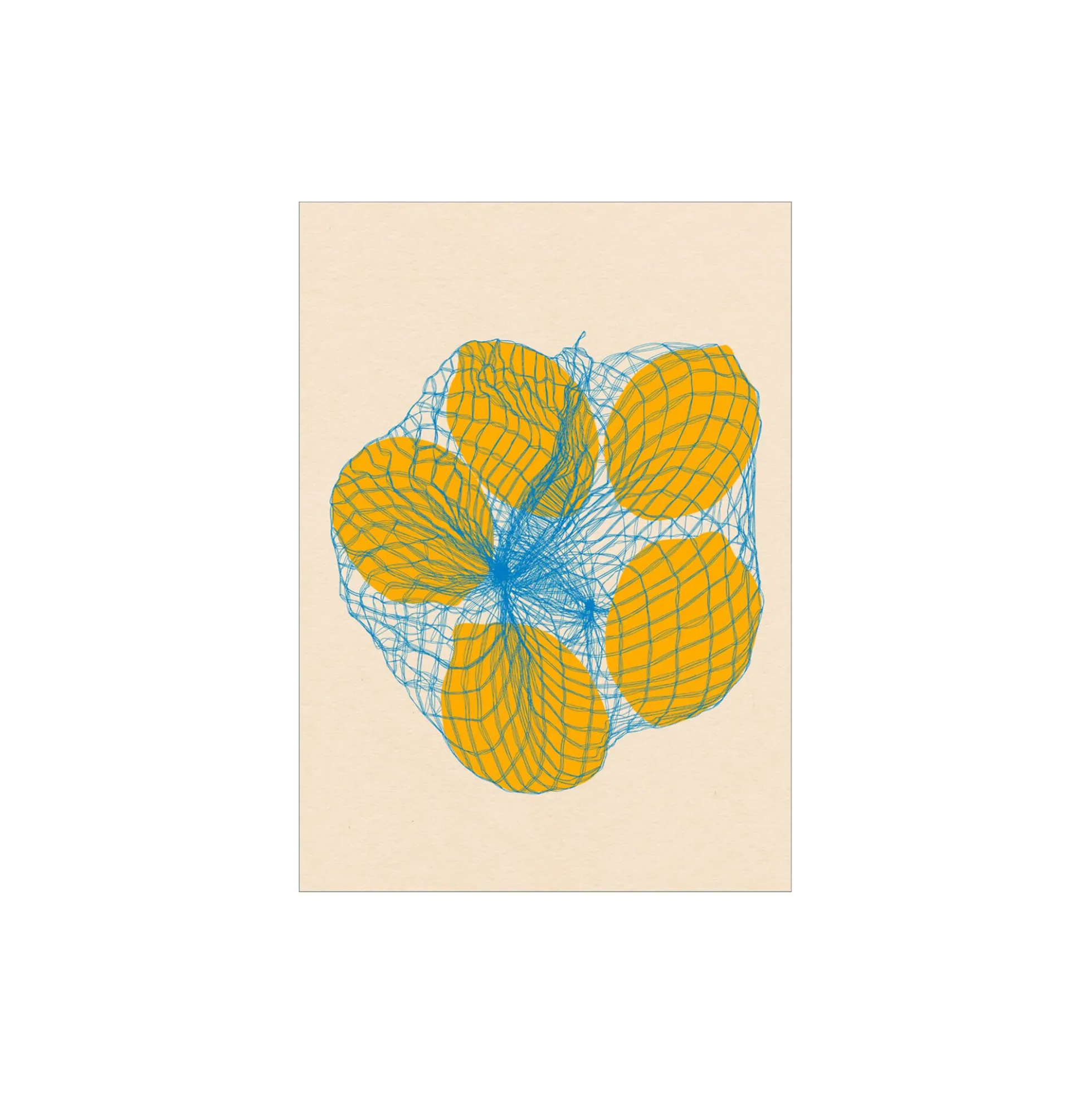Five Lemons in a Net Bag