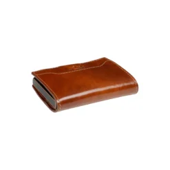 Furbo Cardholder Van Gogh, cognac