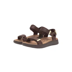 Line Fish, chocolate