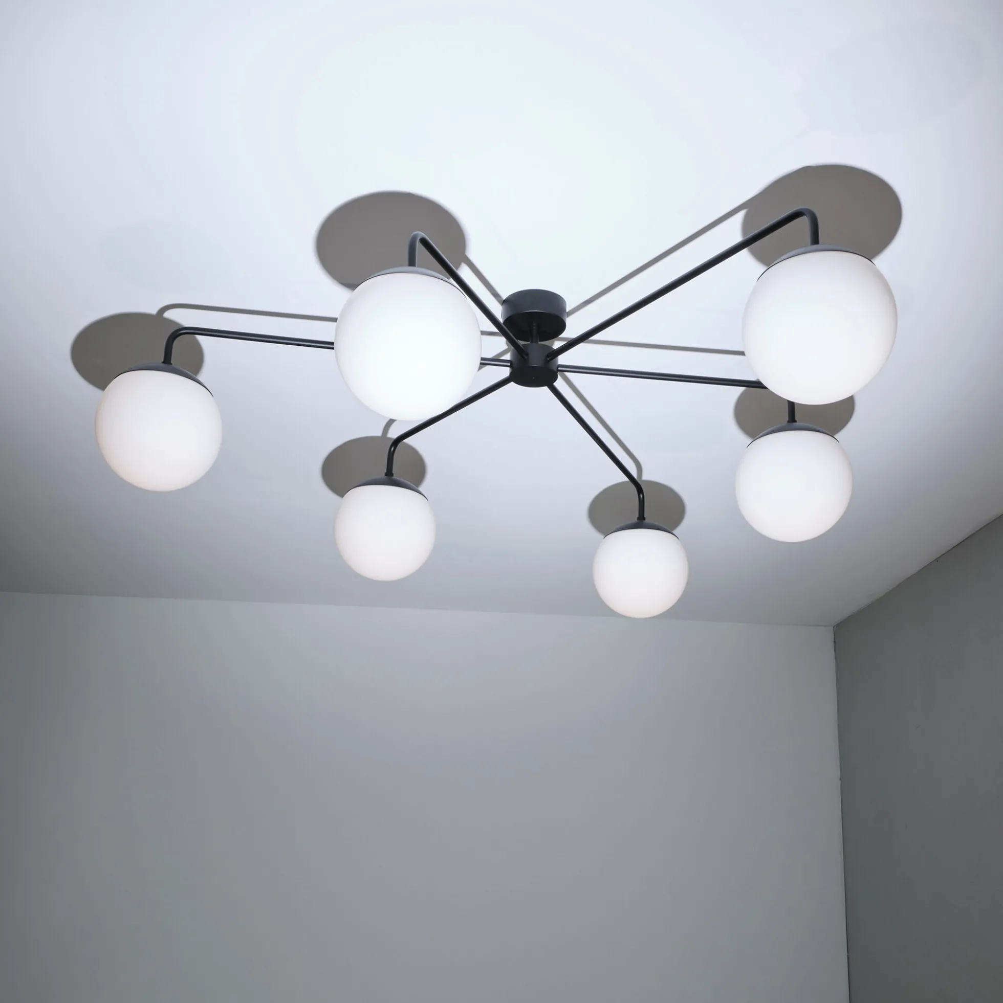 Lord Asymmetric Ceiling, black/opal