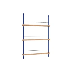 Magazine Shelving Medium, oak/deep blue
