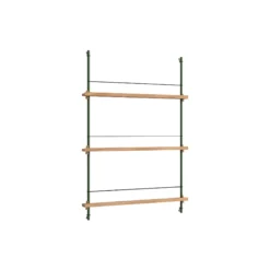 Magazine Shelving Medium, oak/pine green