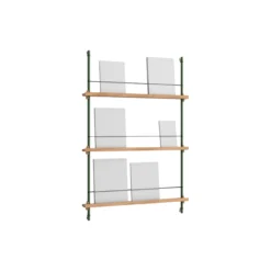 Magazine Shelving Medium, oak/pine green