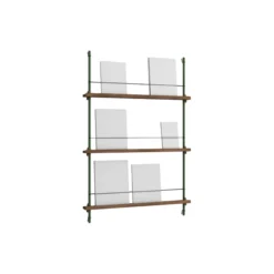 Magazine Shelving Medium, smoked oak/pine green