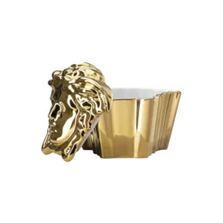 Medusa Box