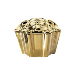 Medusa Box