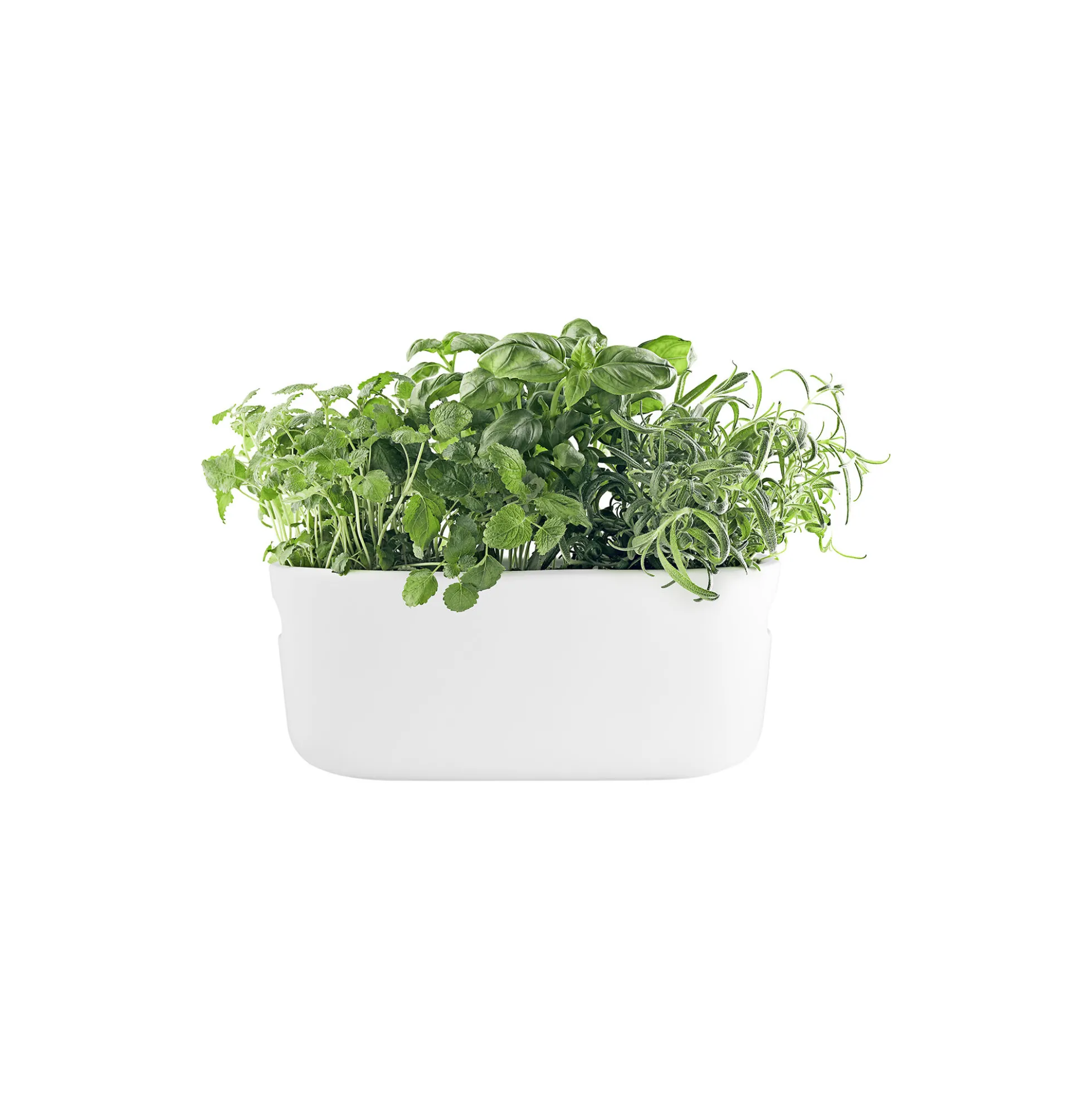 Nordic Kitchen selvvandende urteholder, hvid