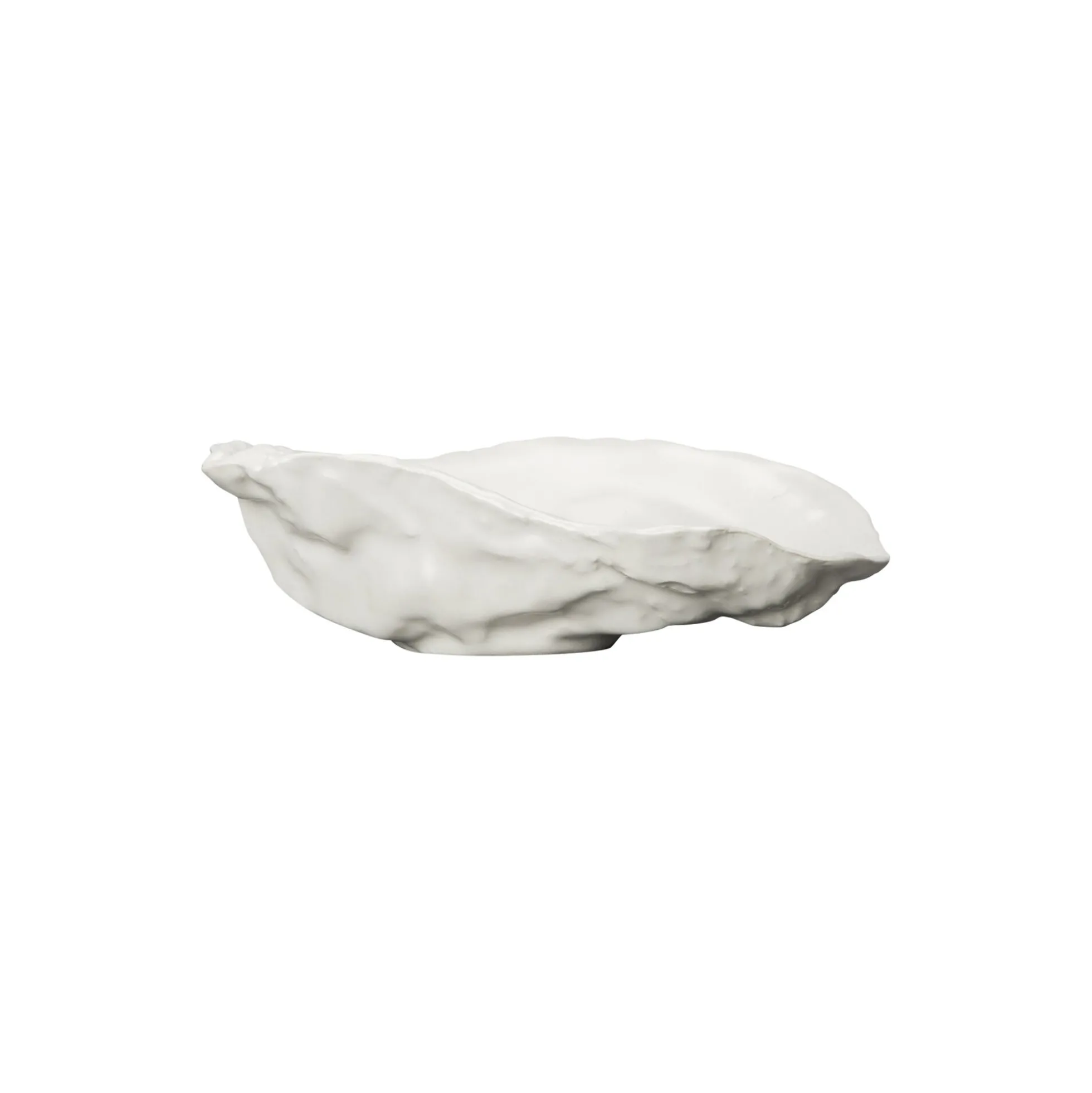 Oyster Plate