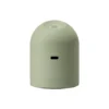 Pilo No.2 Fabric Shaver, sage