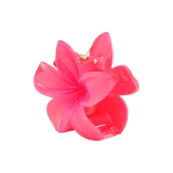 Plumeria Bella Big, pink