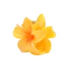 Plumeria Bella Mini, yellow
