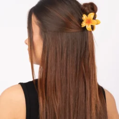 Plumeria Bella Mini, yellow