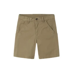 Prismo Shorts, palm leaves