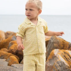 Short Sleeve Shirt, lemon checks