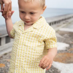 Short Sleeve Shirt, lemon checks