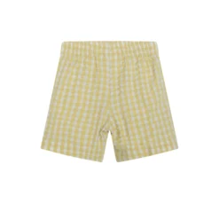 Shorts, lemon checks