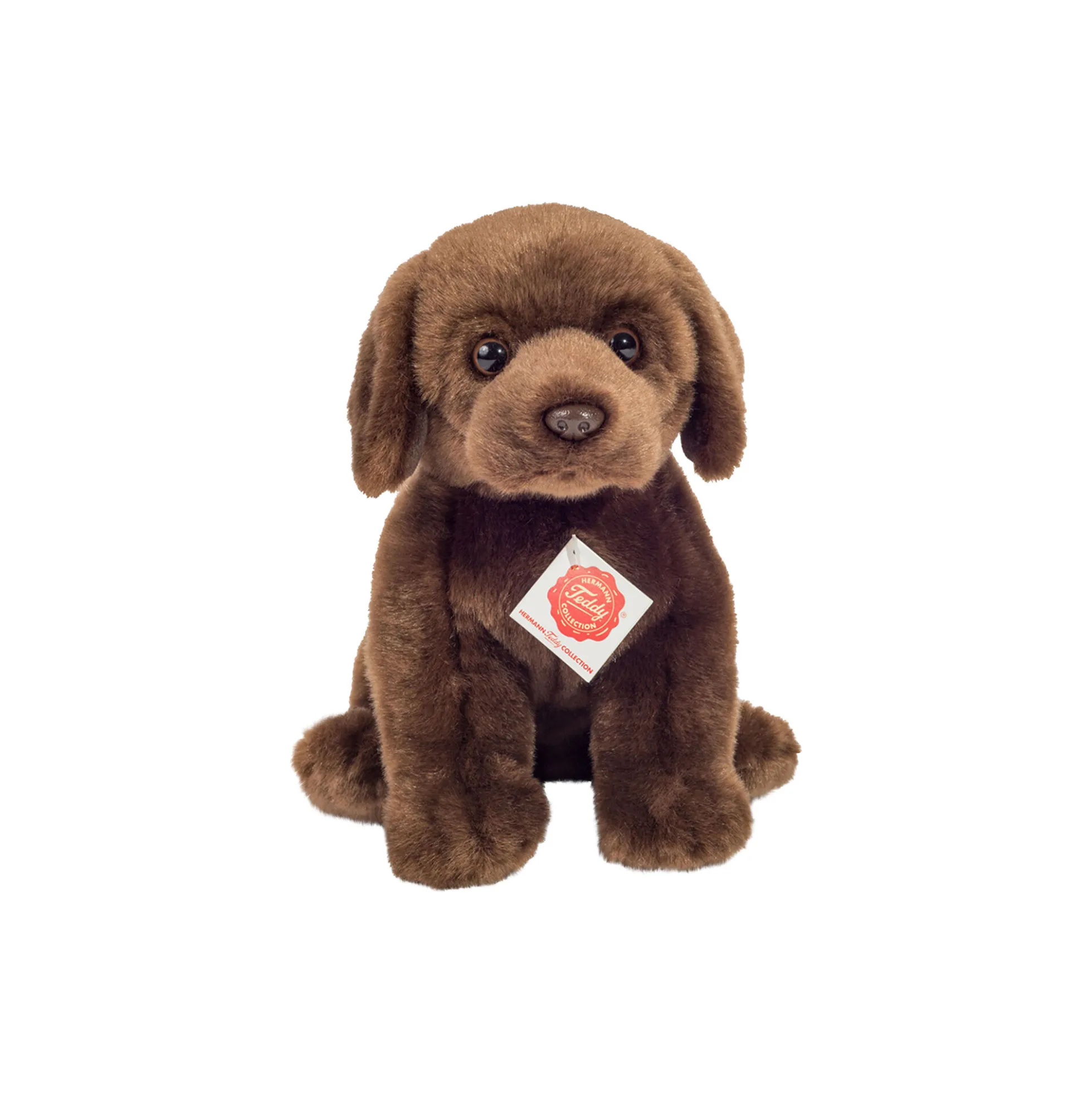 Siddende labrador