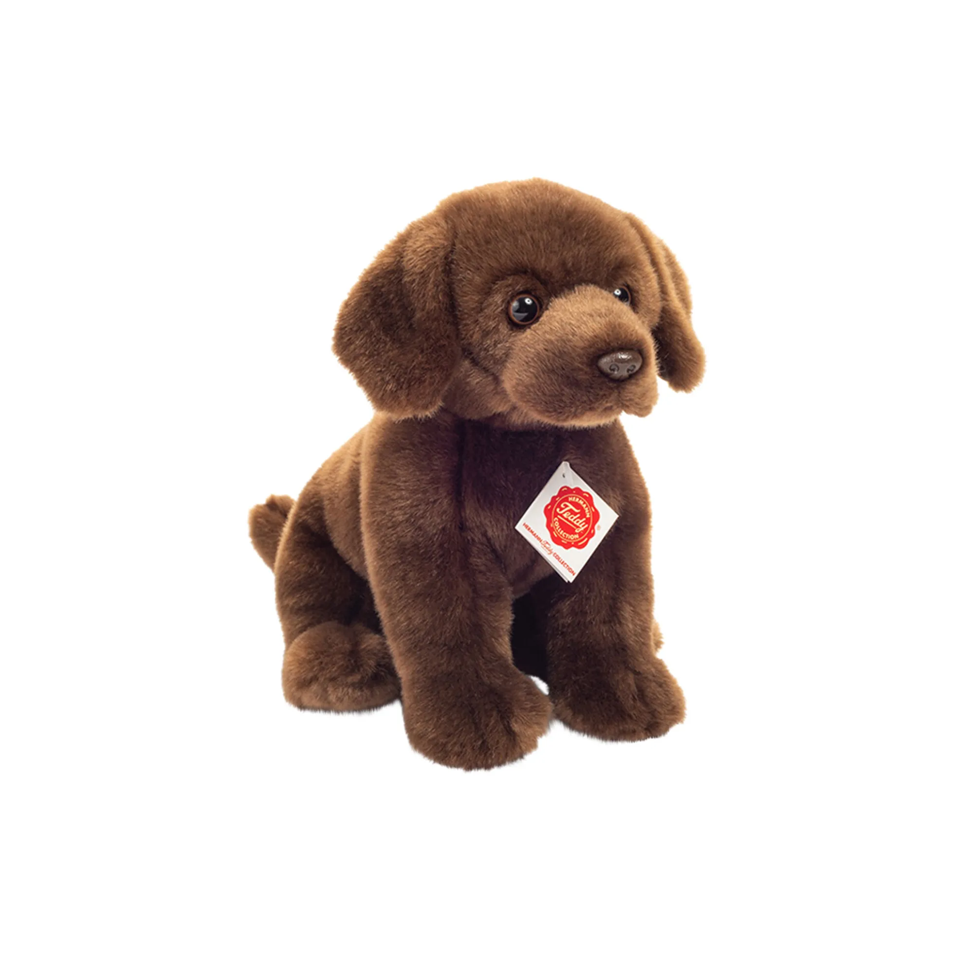 Siddende labrador