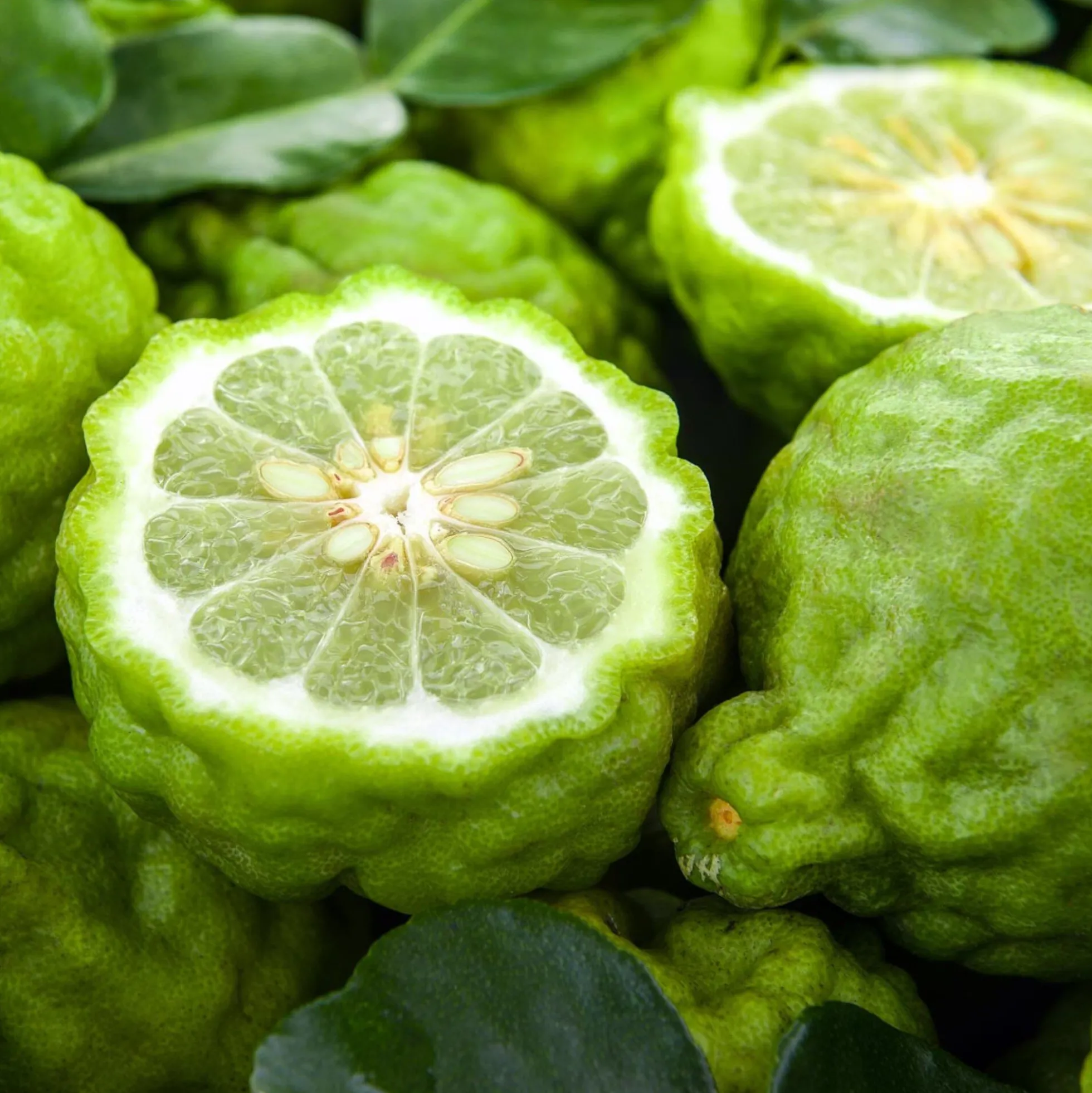 Solid parfume - Bergamot No. 06