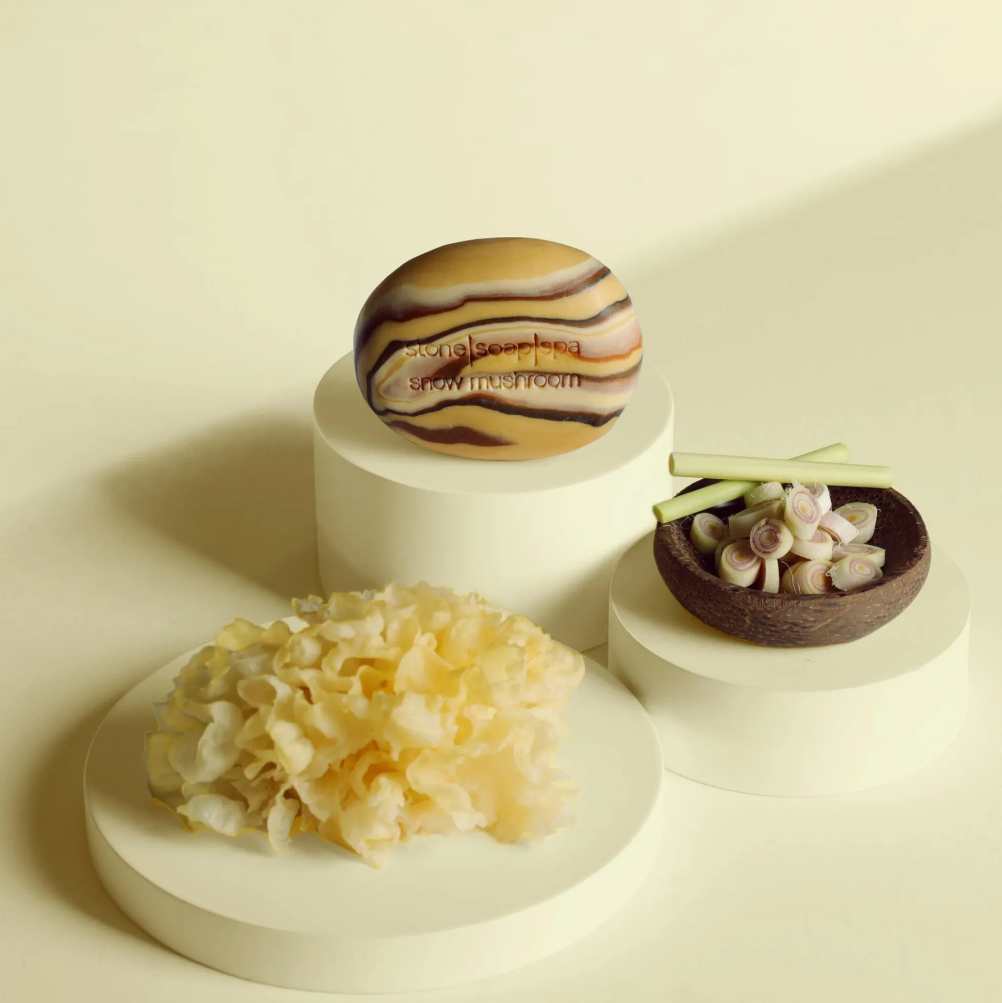 Stone Soap, snow mushroom