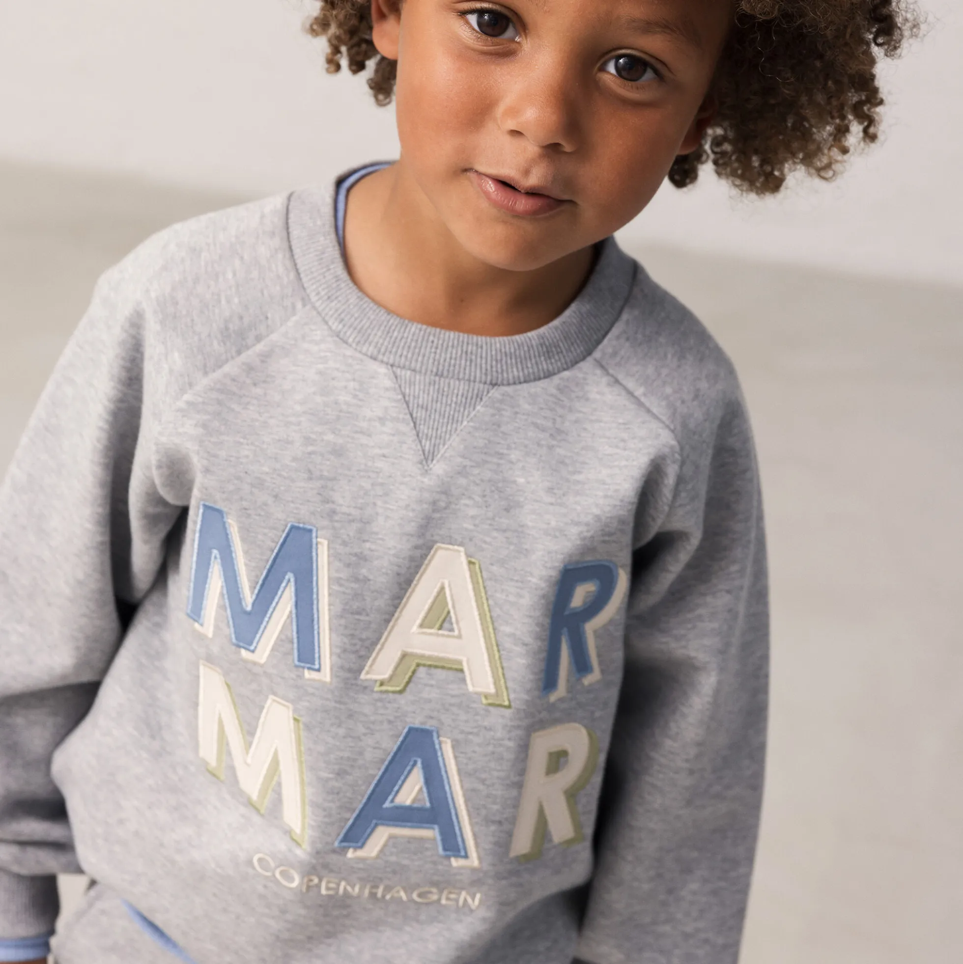 Theos Sweatshirt, blue logo